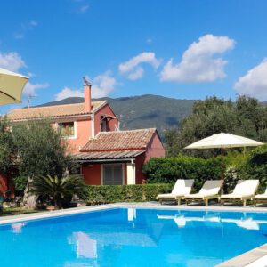 Aristea