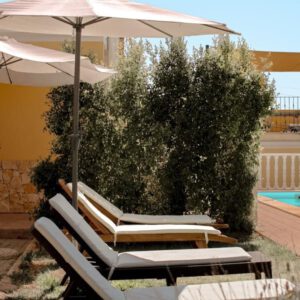 Quinta do Mocho Turismo Rural
