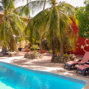 Woodstock Palmresort