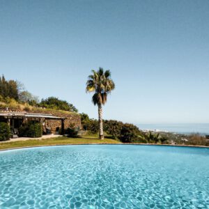 La Casa Del Burro