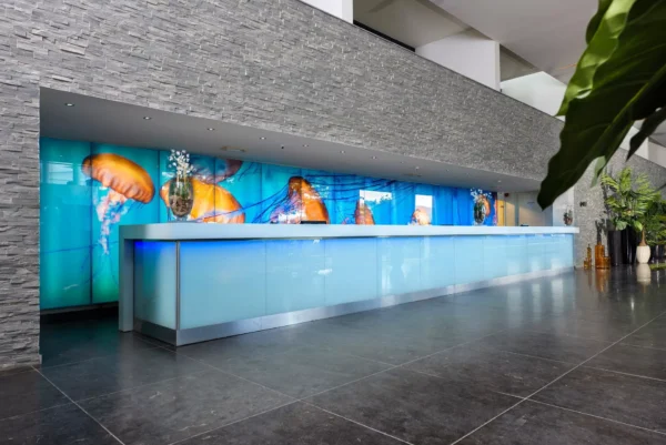 Curaçao ↬ Papagayo Beach Hotel - Afbeelding 9