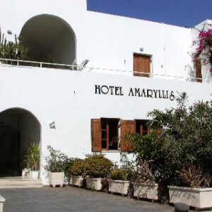 Amaryllis