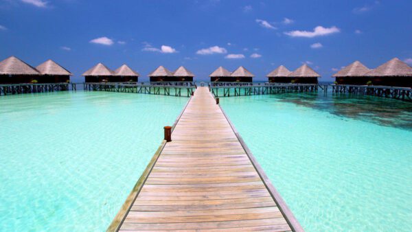 Mirihi Island Resort - Afbeelding 3
