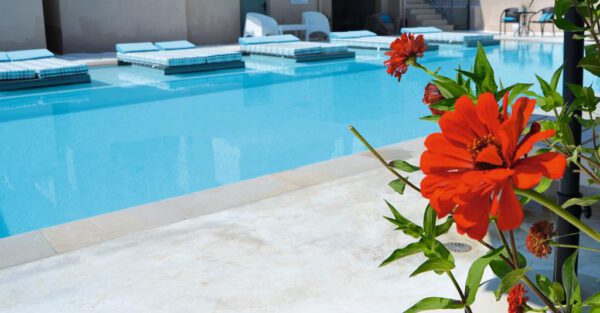Villa Olga Lounge Hotel - Afbeelding 5