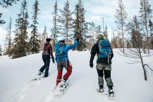 8 daagse excursiereis Lapland hotel Saaga - Afbeelding 3