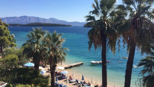 Palm Trees Hotel - Afbeelding 3