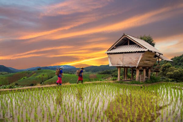 Startpakket Thailand Bangkok - Afbeelding 5