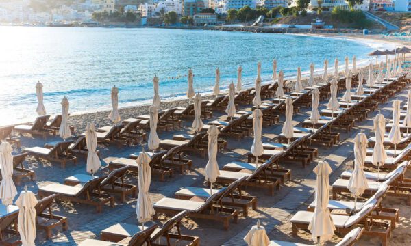 Alimounda Mare - Afbeelding 5