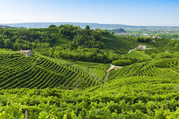 10-daagse rondreis Italiaanse en Kroatische charme - Afbeelding 2