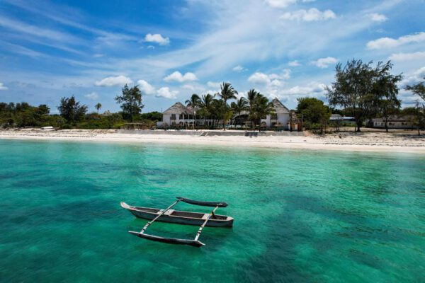 Nest Style Zanzibar - Afbeelding 3