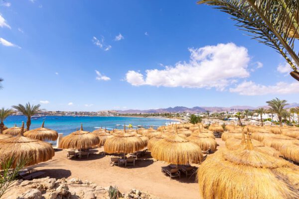 Swissotel Sharm El Sheikh - Afbeelding 4