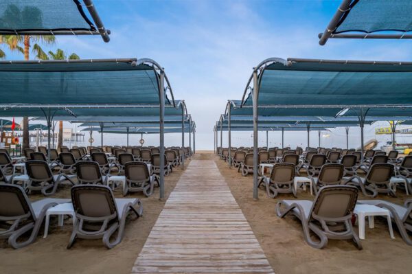 Trendy Palm Beach - Afbeelding 3