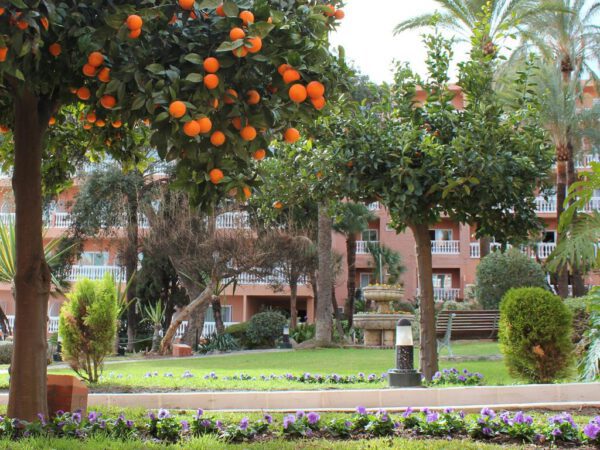 Best Siroco - Afbeelding 5