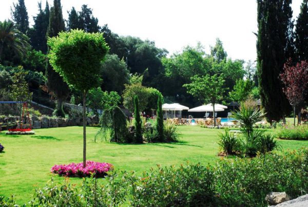 Corfu Club - Afbeelding 5
