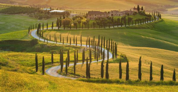 11-daagse rondreis Mille Miglia - Afbeelding 2