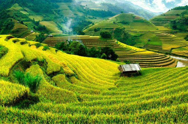 Startpakket Indonesië Bali - Afbeelding 3