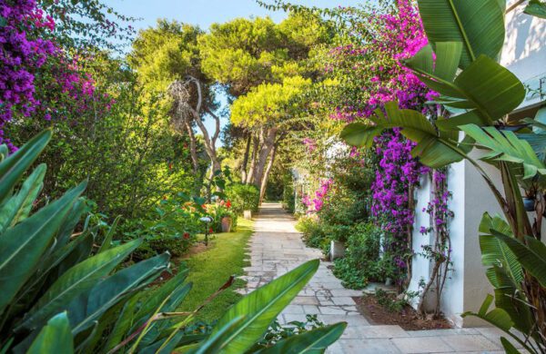 ROBINSON APULIA - Afbeelding 4