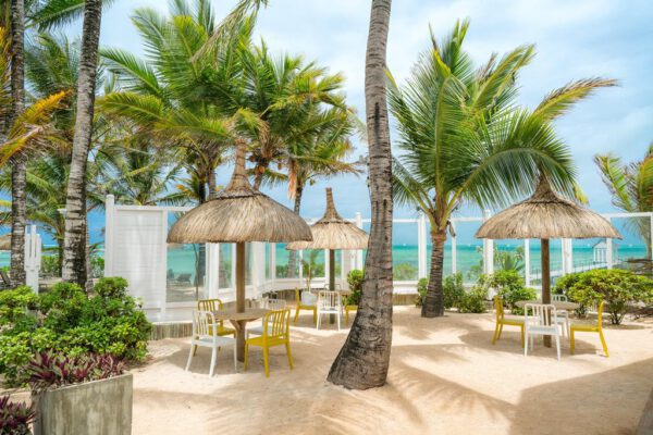 Tropical Attitude - Afbeelding 5