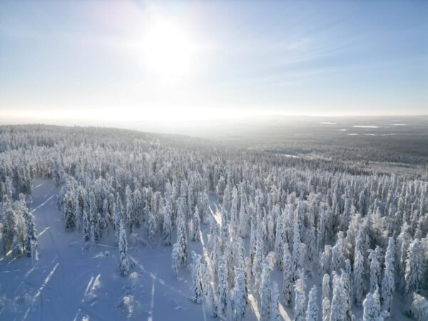 8 daagse excursiereis Ontdek Arctic Lakeland - Afbeelding 5