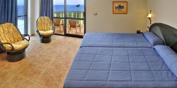 Kaktus Albir - Afbeelding 2