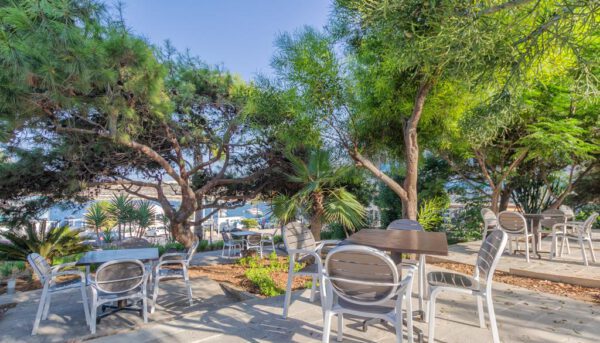 AX Sunny Coast Resort & Spa - Afbeelding 3