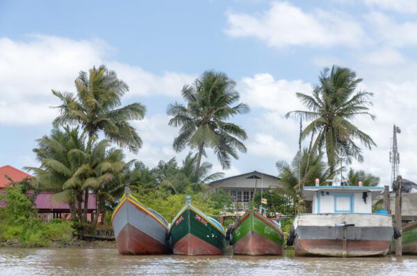 Startpakket Suriname Paramaribo - Afbeelding 4