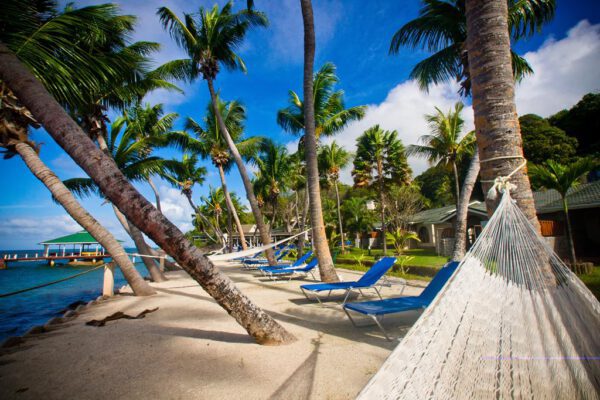 Coco de Mer & Black Parrot Suites - Afbeelding 3