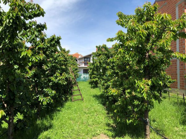 Villa Kotlar - Afbeelding 4