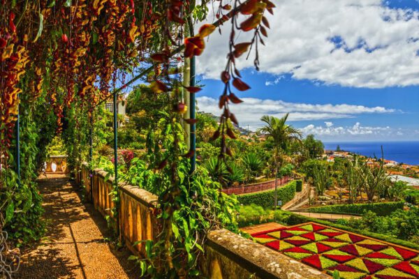 Fly & Drive Madeira - Afbeelding 5