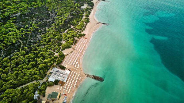 ROBINSON APULIA - Afbeelding 3