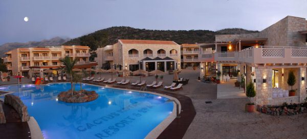 Cactus Royal - Afbeelding 5